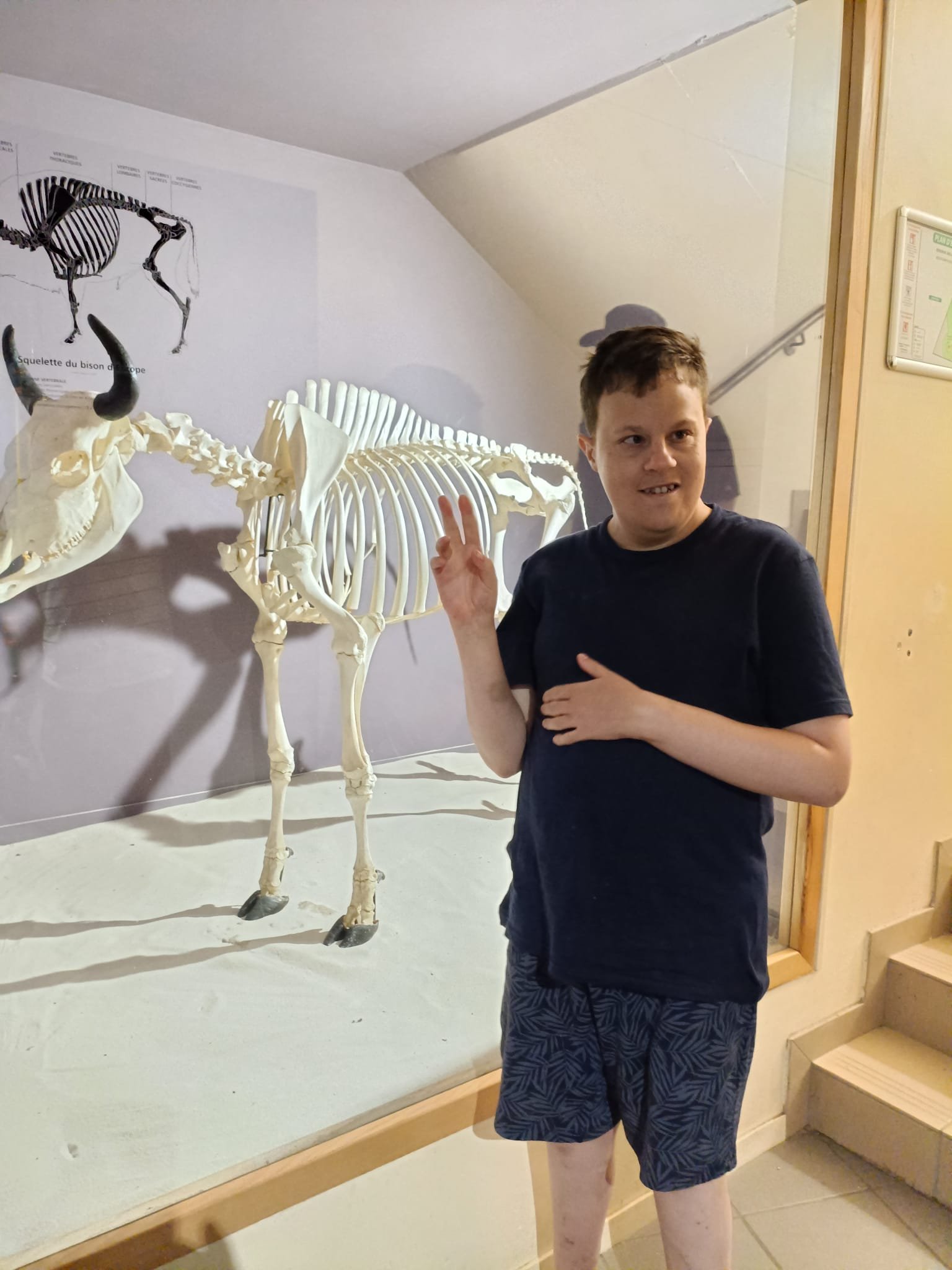 Séjour culturel CDSA 04, été 2026 — photo 3
